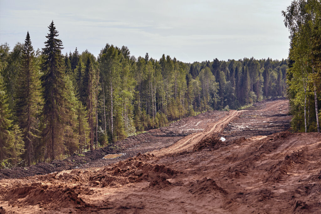 Dense green forest landscape illustrating EU Deforestation Regulation and deforestation-free supply chains