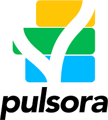 Pulsora logo representing ESG software and sustainability data platform
